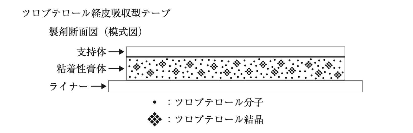 解説画像